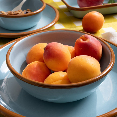 Several peaches in a medium enamel bowl that is robin's egg blue with a warm brown rim.
