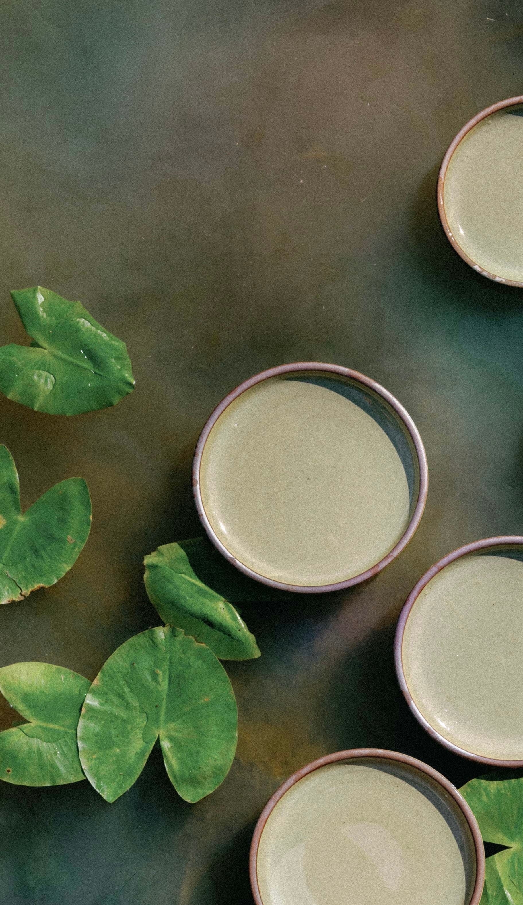 An overhead view of reflective dappled grey-green plates in various sizes floating in a pond with lily pads