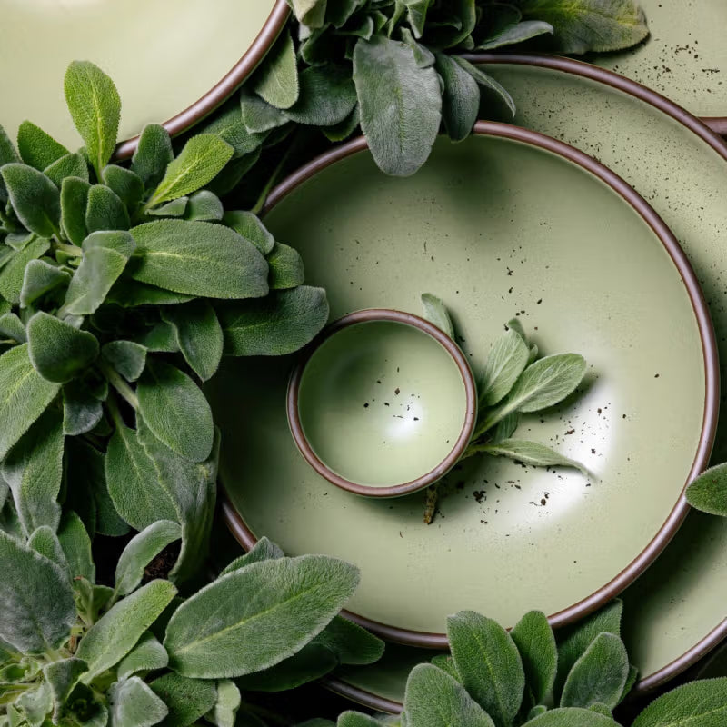 Green ceramic bowls in various sizes are surrounded by soft, fuzzy lamb's ear leaves, creating a harmonious and earthy composition.