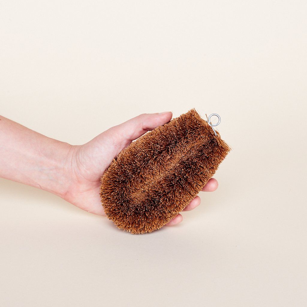 A hand holds an oblong brush made of palm fiber bristles with a small metal loop at top